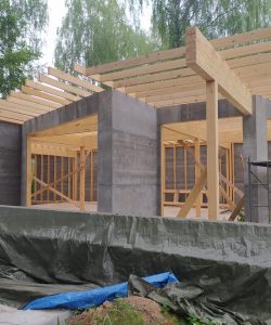 двф-251-Ижевск (1)