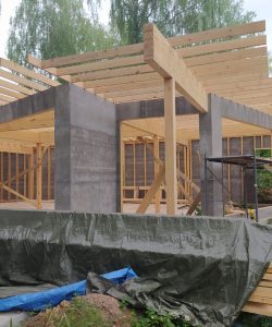 двф-251-Ижевск (3)