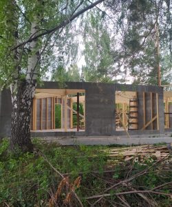 двф-251-Ижевск (4)